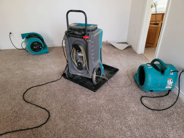 Best Ceiling water damage repair  in Haverhill, MA