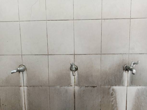 Best Professional water damage repair  in Haverhill, MA