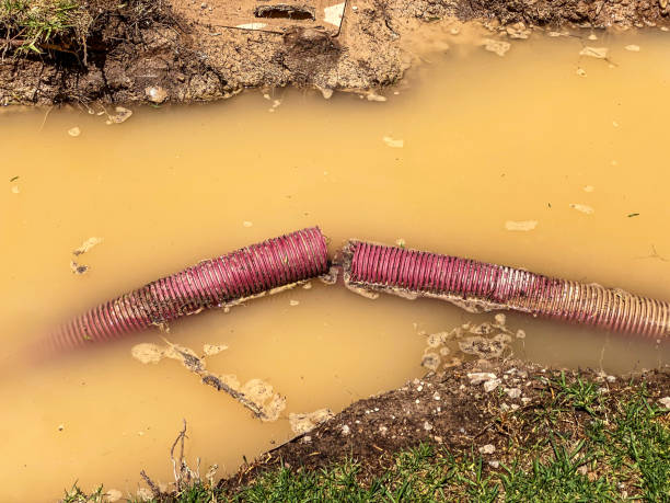 Best Water damage cleanup near me  in Haverhill, MA