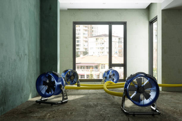 Best 24/7 water damage repair  in Haverhill, MA